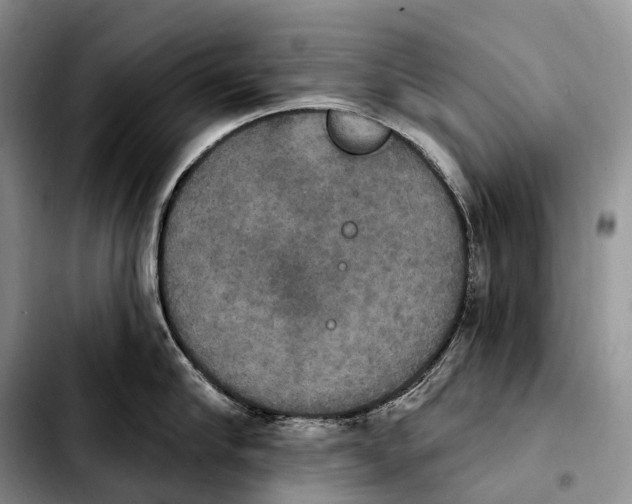 X0000103950910200810101435