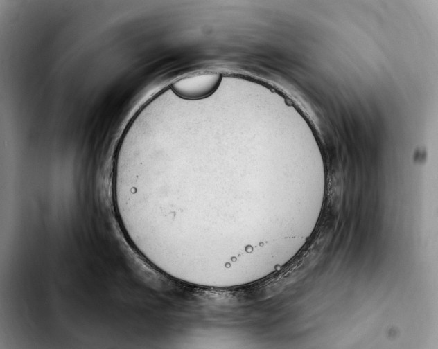 X0000103950911200810101435