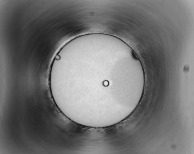 X0000103950912200810101435