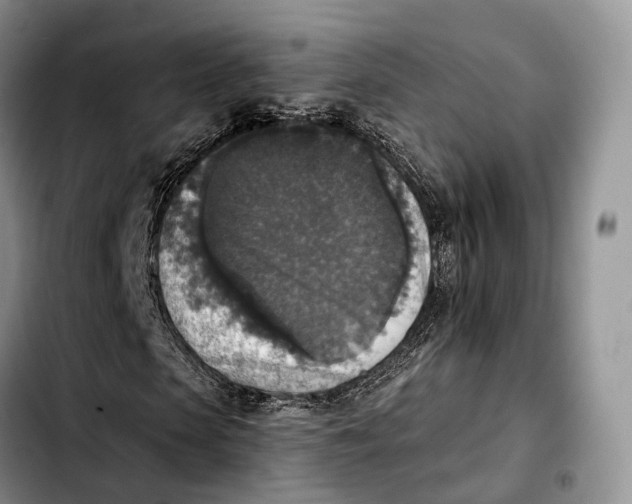 X0000103950913200810101434