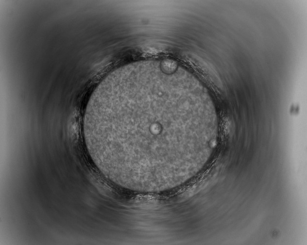 X0000103950914200810101434