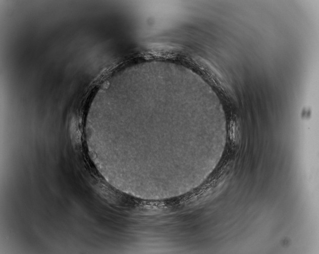 X0000103950915200810101435