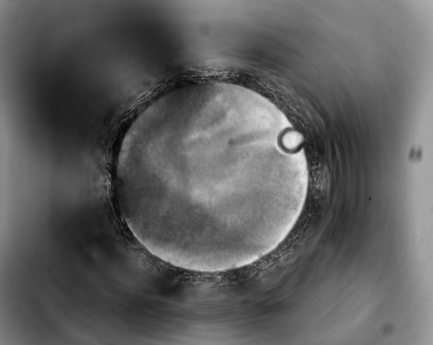 X0000103950916200810101435