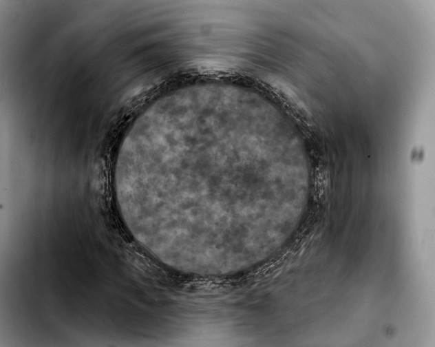 X0000103950917200810101435