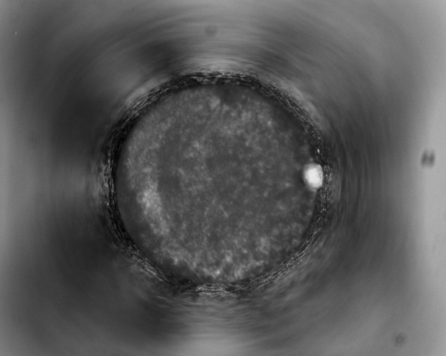 X0000103950918200810101435