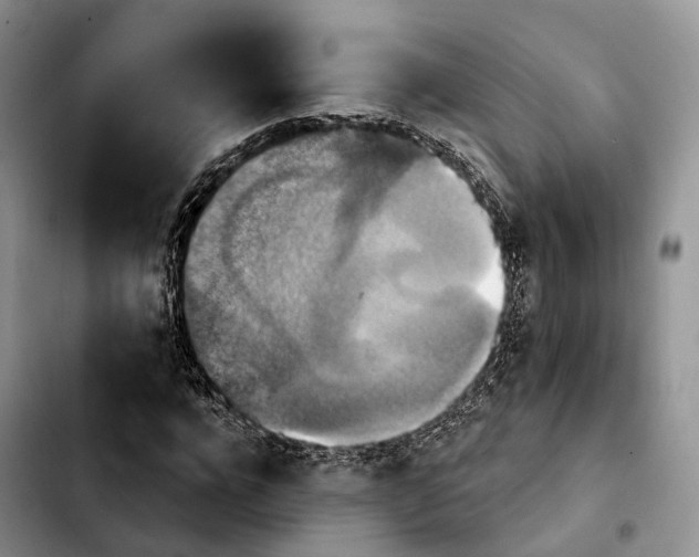 X0000103950920200810101435