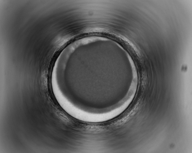 X0000103950921200810101435