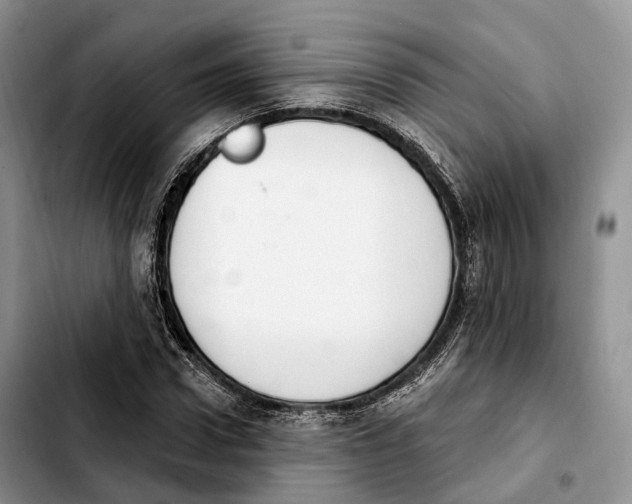 X0000103950922200810101435