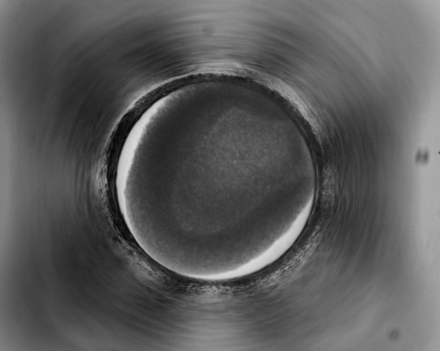 X0000103950923200810101435