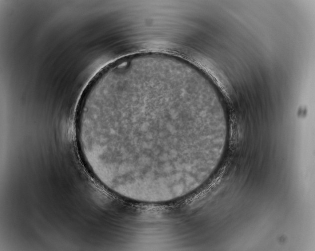 X0000103950924200810101435