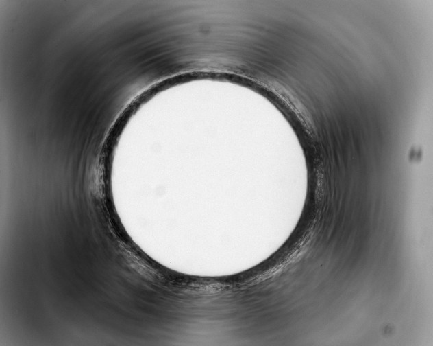 X0000103950926200810101435