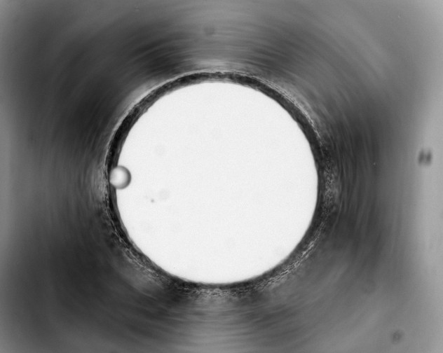 X0000103950927200810101435