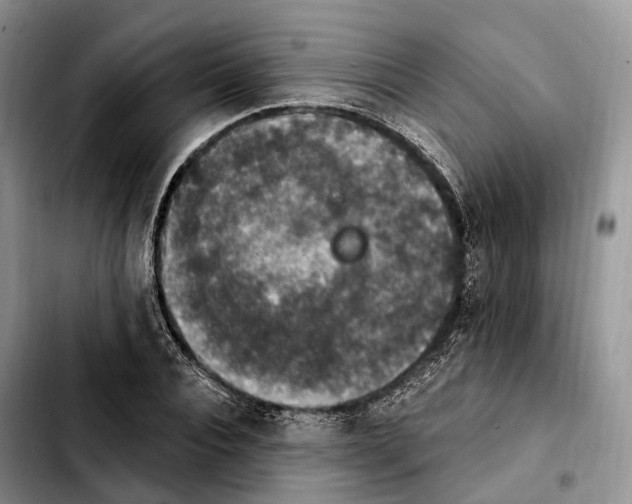 X0000103950928200810101435