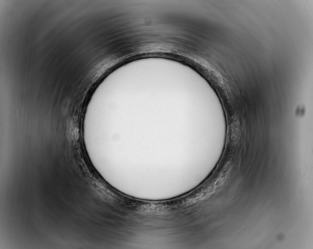 X0000103950929200810101435