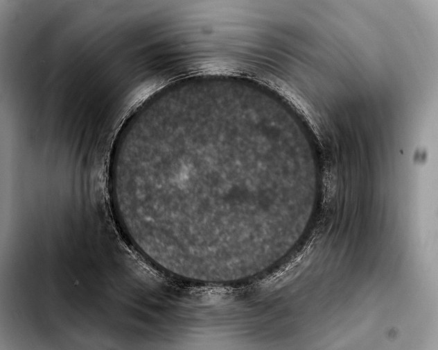 X0000103950930200810101435