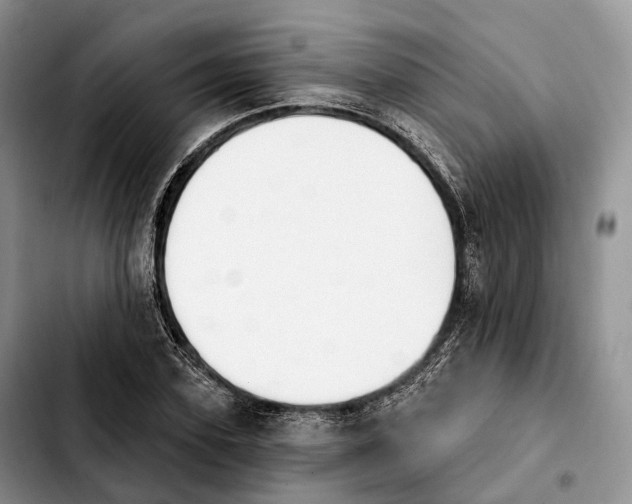 X0000103950931200810101435