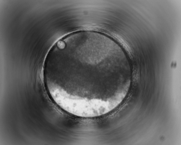 X0000103950932200810101435