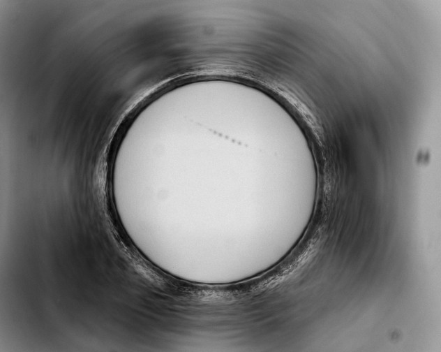 X0000103950933200810101435