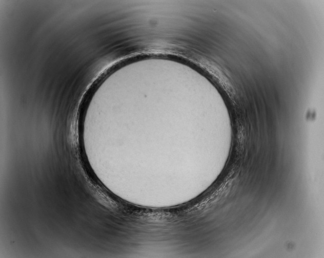 X0000103950934200810101435