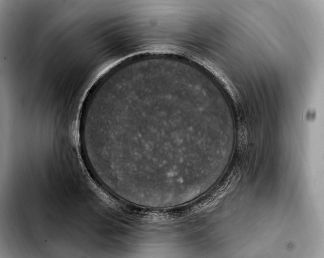 X0000103950935200810101435