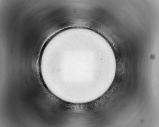 X0000103950936200810101435