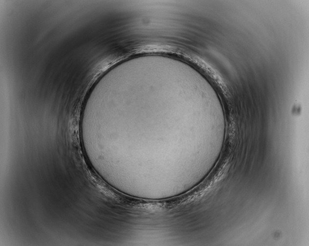 X0000103950937200810101435