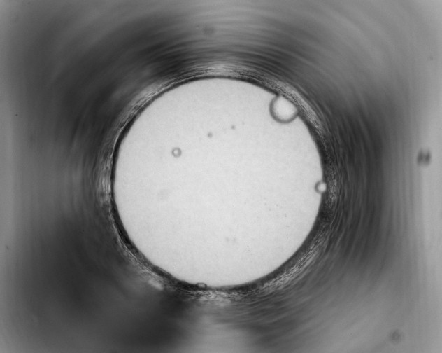 X0000103950938200810101435