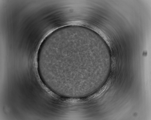 X0000103950939200810101435