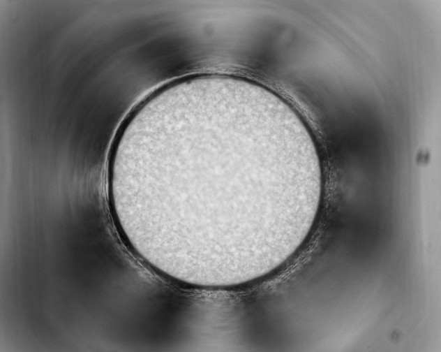 X0000103950940200810101435