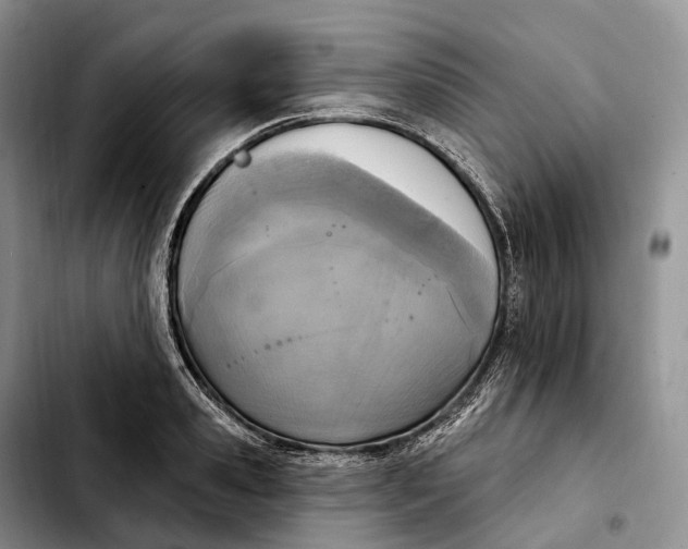 X0000103950941200810101435