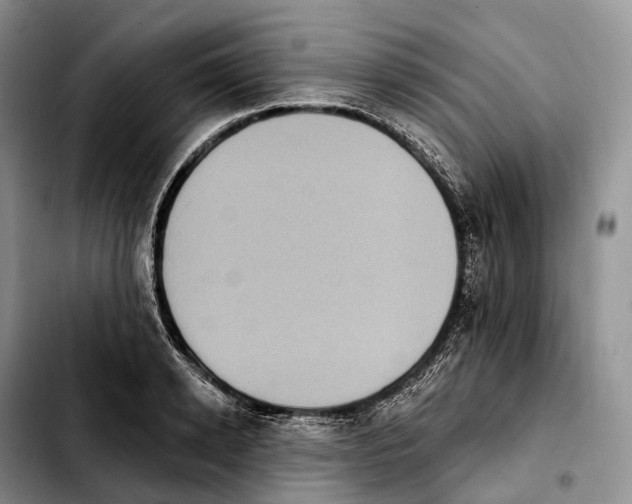 X0000103950942200810101435