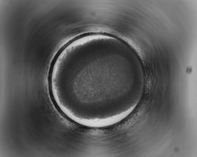 X0000103950943200810101435