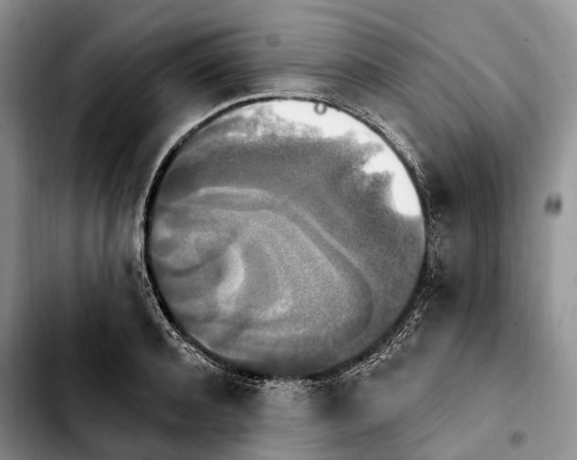 X0000103950944200810101435