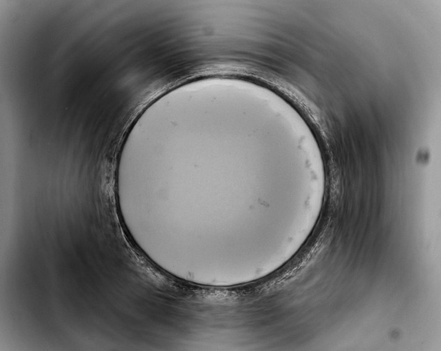 X0000103950945200810101435