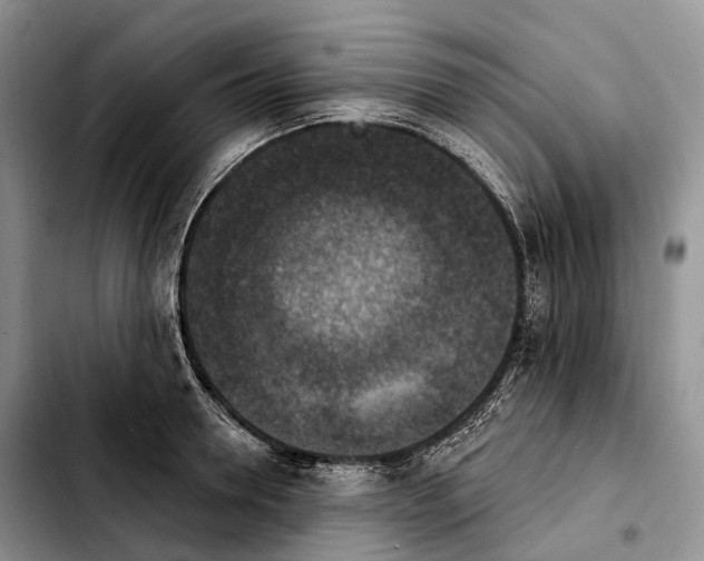 X0000103950946200810101435