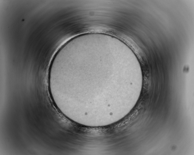 X0000103950948200810101435