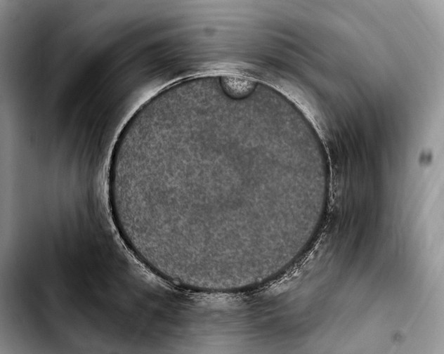 X0000103950949200810101435