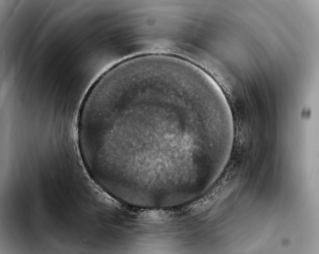 X0000103950950200810101435