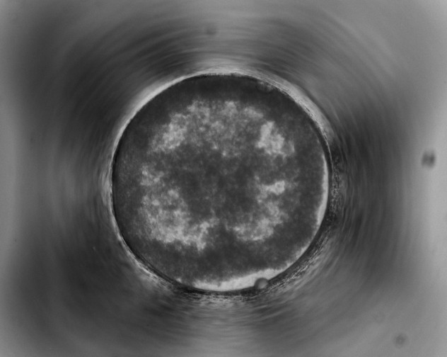 X0000103950951200810101435