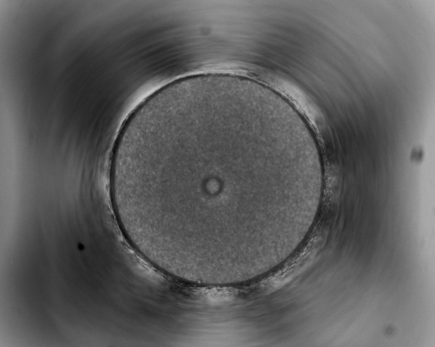 X0000103950952200810101435