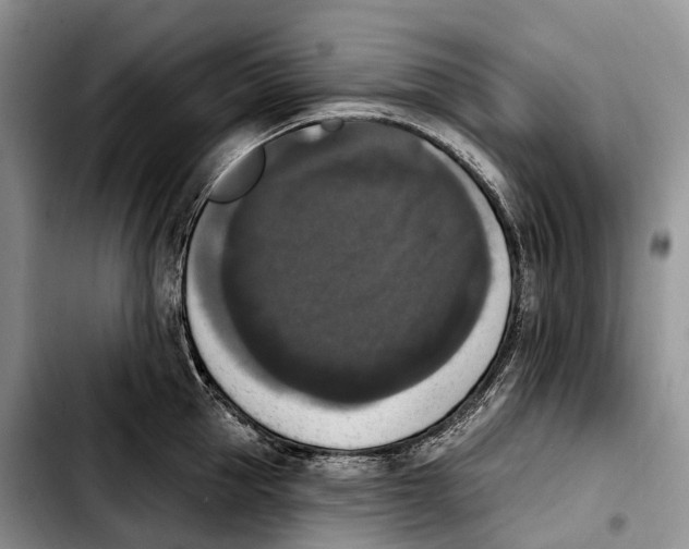 X0000103950953200810101435