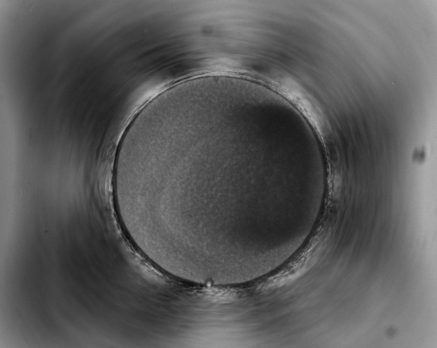 X0000103950954200810101435