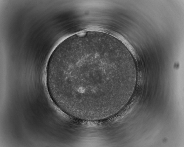 X0000103950955200810101435