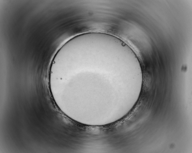 X0000103950956200810101435