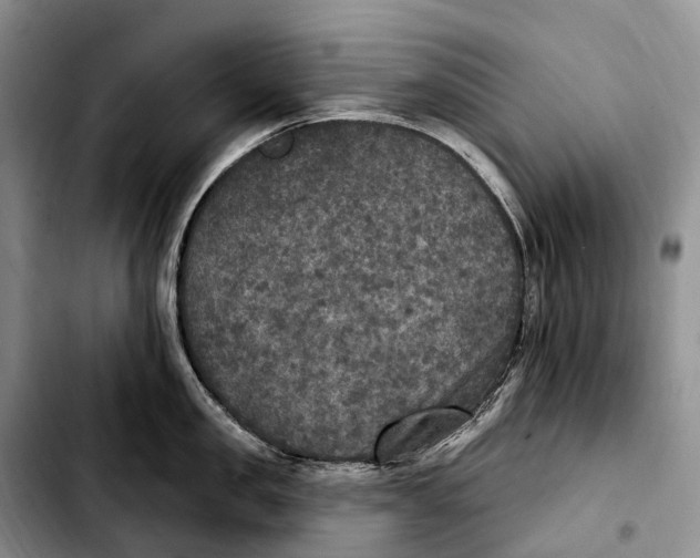 X0000103950957200810101435