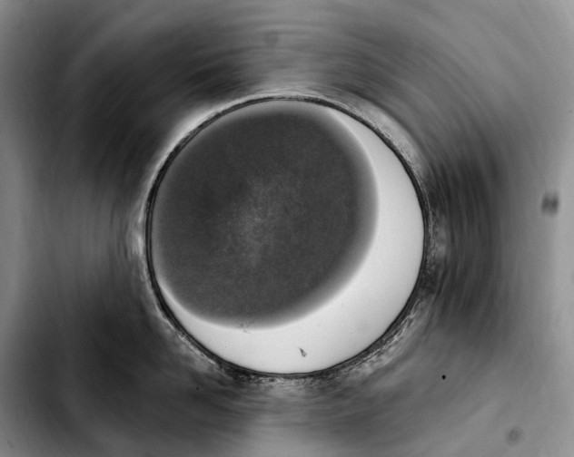 X0000103950958200810101435