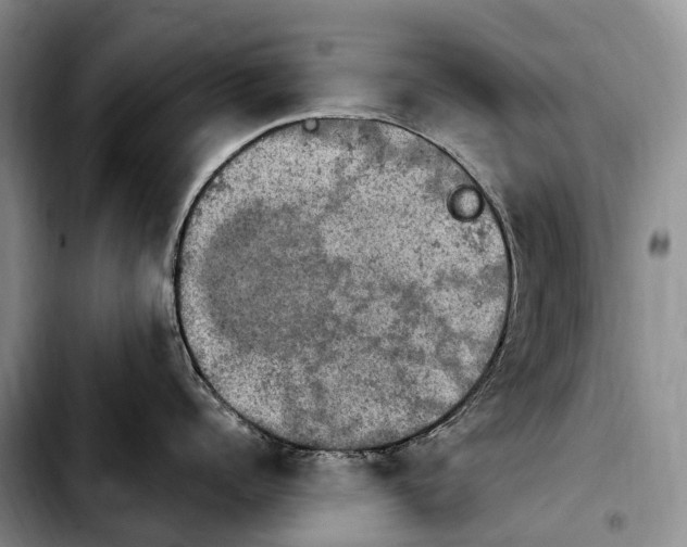 X0000103950960200810101435