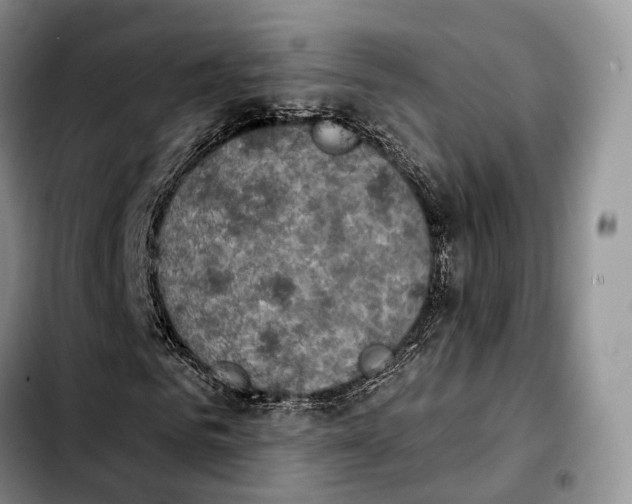 X0000103950961200810101434