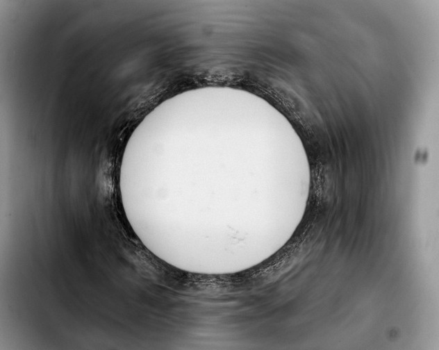 X0000103950962200810101434