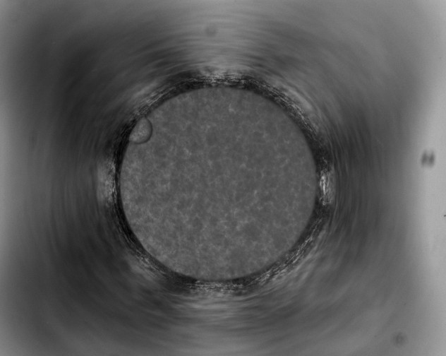 X0000103950963200810101434